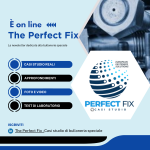 EFS Newsletter The Perfect Fix